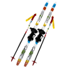 Лыжный комплект Combi SABLE Kids step 110 см 